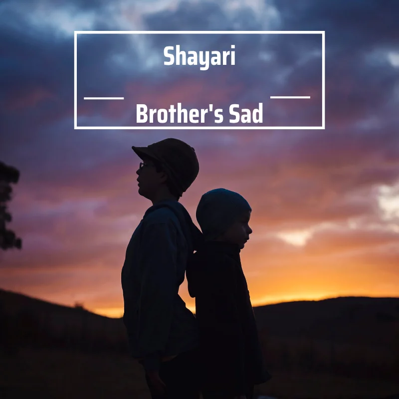 Best Brother Shayari in Hindi