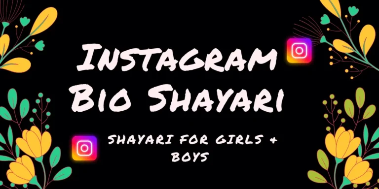 Instagram Bio Shayari