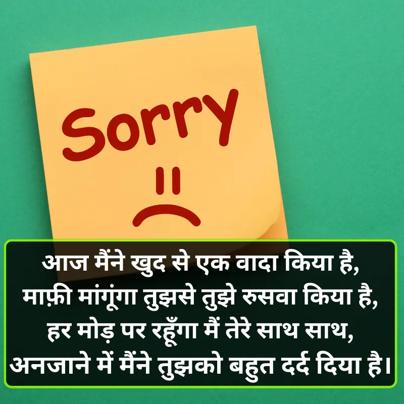 Apology Shayari