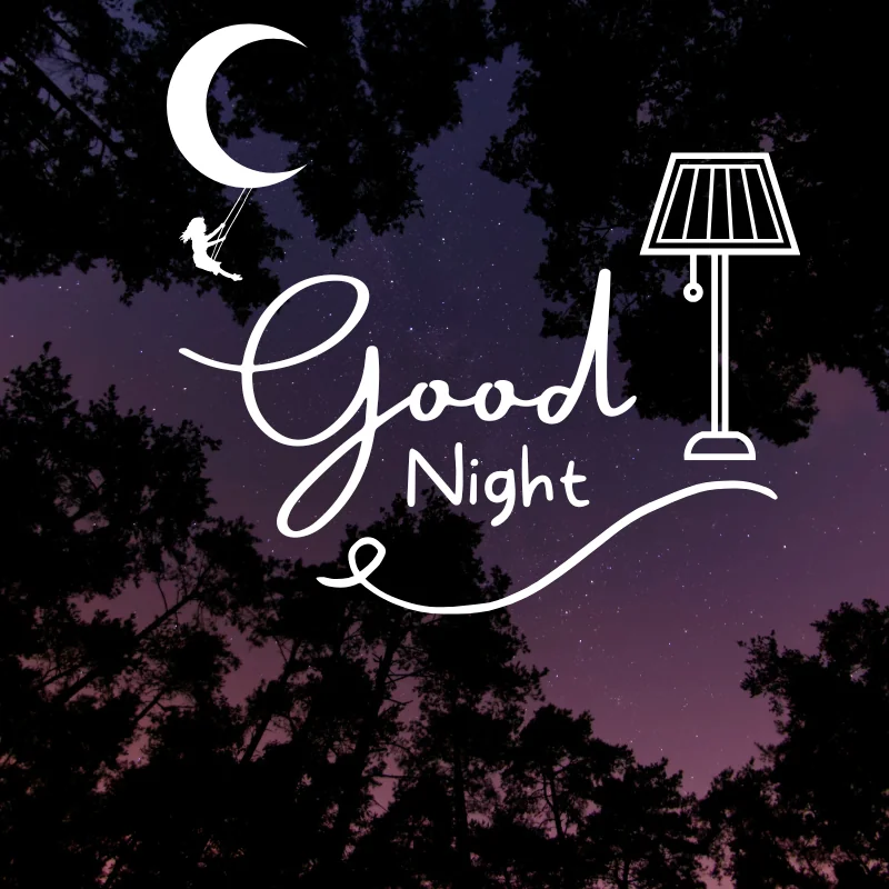 Good Night Shayari for Wife