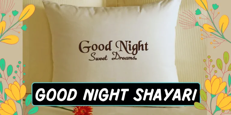 New Good Night Shayari