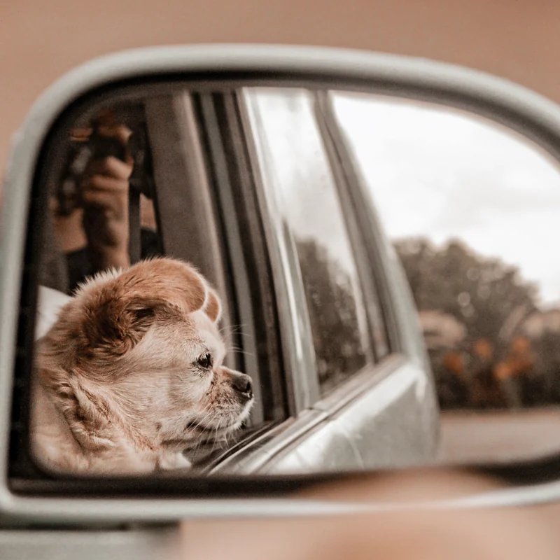 One Sided Love Shayari Sad