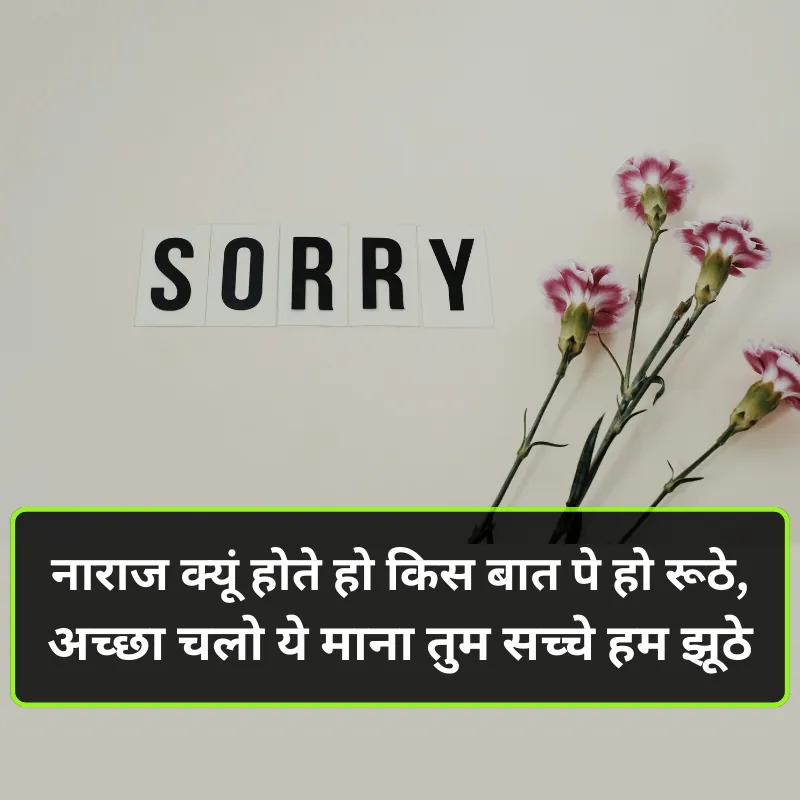 Sorry Shayari